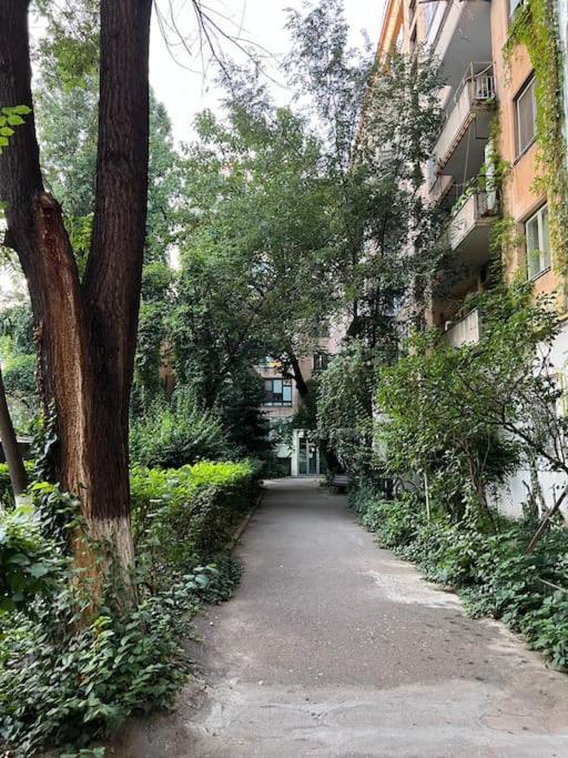 Heart Of Bucharest #Victoriei Apartment Екстериор снимка